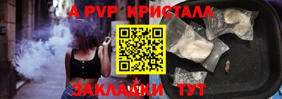 прущие грибы Новозыбков