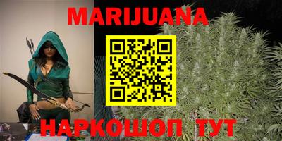 прущие грибы Новозыбков