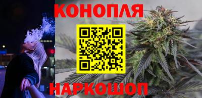 прущие грибы Новозыбков