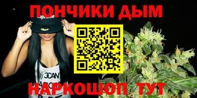 прущие грибы Новозыбков