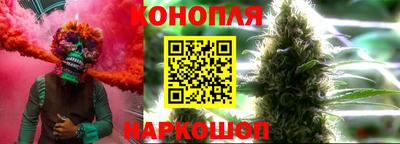 прущие грибы Новозыбков