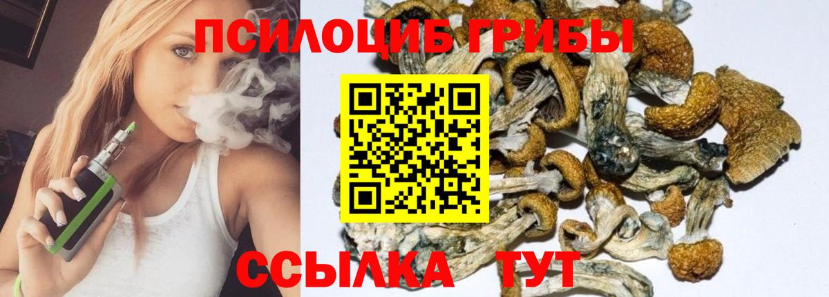Галлюциногенные грибы мухоморы Урюпинск